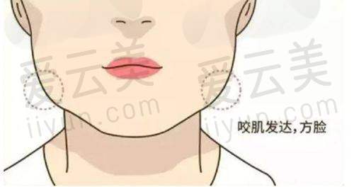 求美者的反馈