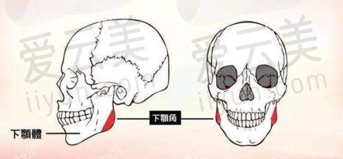 北京美诗沁世茂医疗美容诊所2025年价格表