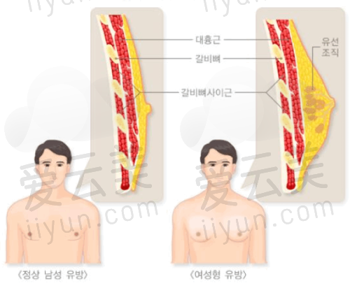医学科学 院整形外科医院靳小雷医生