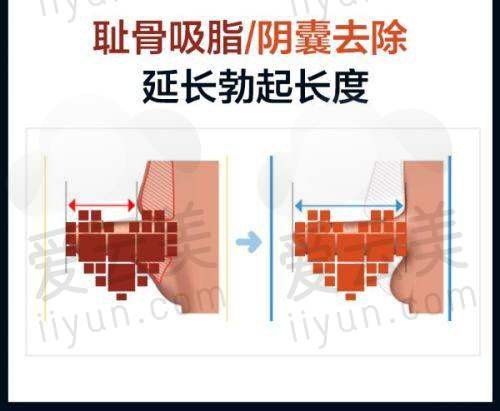 行业交流与发展