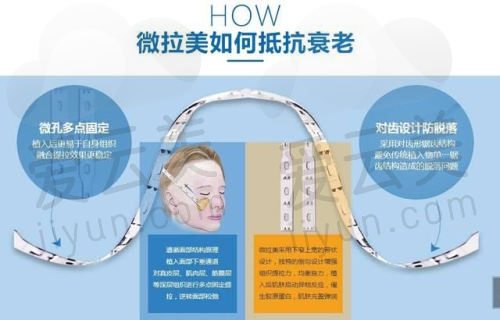 口碑与评价