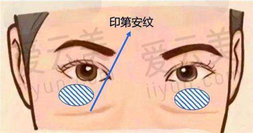 与其他机构对比情况