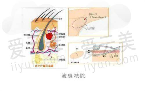 特色项目及价格
